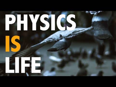 Find Out How Physics is Within Our Daily Life